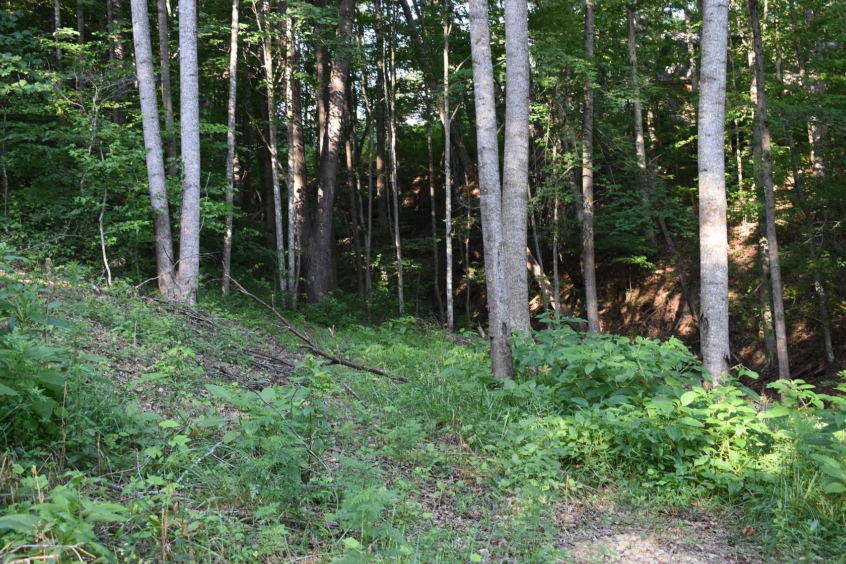 1.26 Acres of Commercial Land for Sale in Morehead, Kentucky