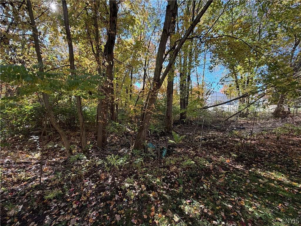 0.12 Acres of Residential Land for Sale in Blossvale, New York