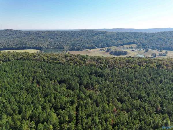 177 Acres of Recreational Land for Sale in Remlap, Alabama