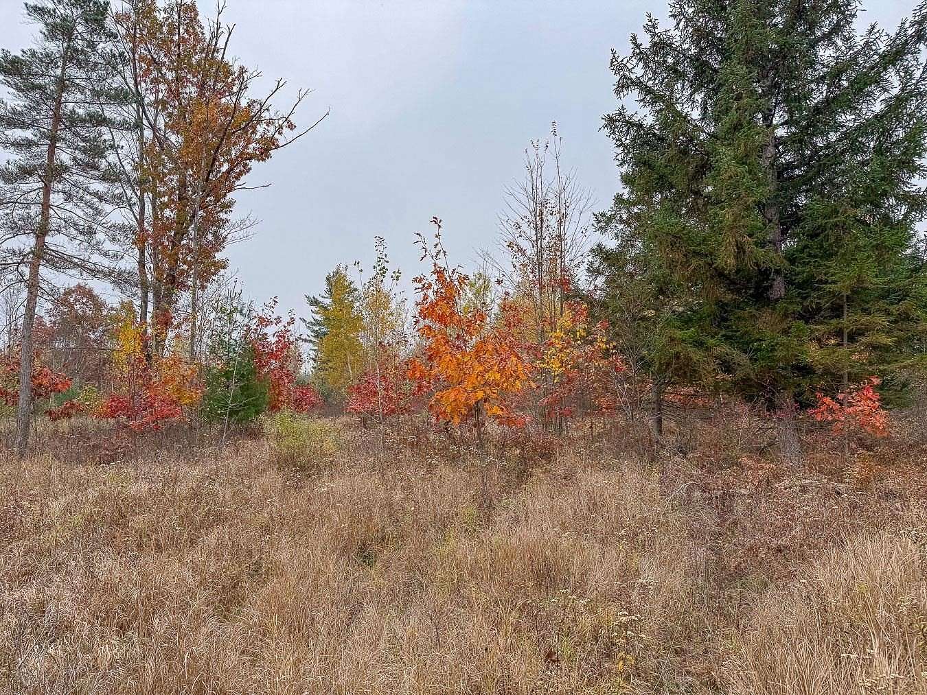 10 Acres of Recreational & Residential Land for Sale in Coleman, Michigan