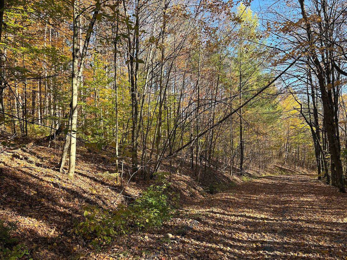 43.3 Acres of Recreational & Residential Land for Sale in Westernville, New York