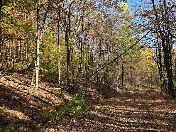 43.3 Acres of Recreational & Residential Land for Sale in Westernville, New York