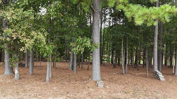 15.8 Acres of Recreational & Residential Land for Sale in Santa Fe, Tennessee