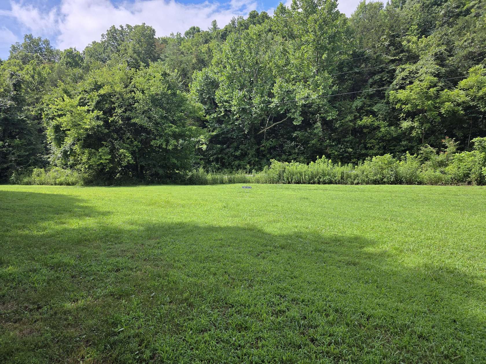 2.44 Acres of Residential Land for Sale in Pleasant Shade, Tennessee