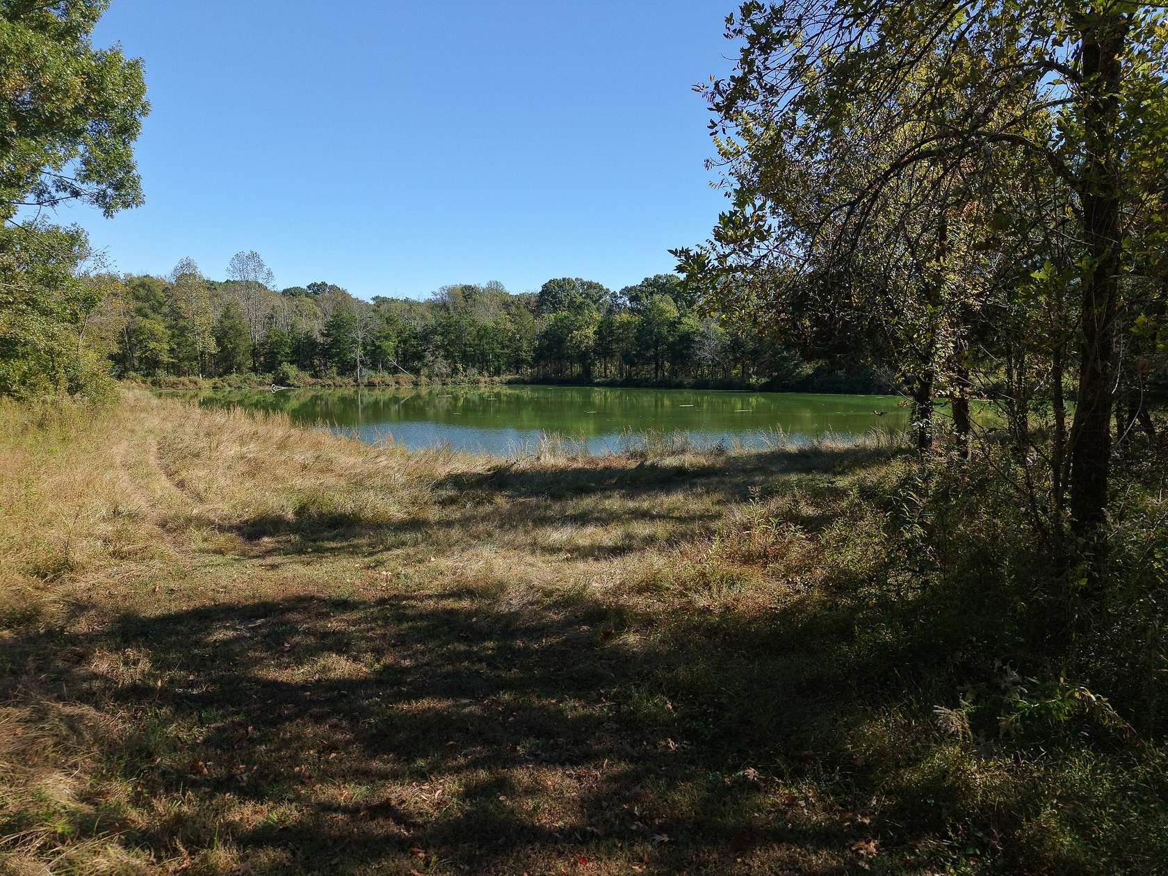 14.7 Acres of Recreational & Residential Land for Sale in Nolensville, Tennessee