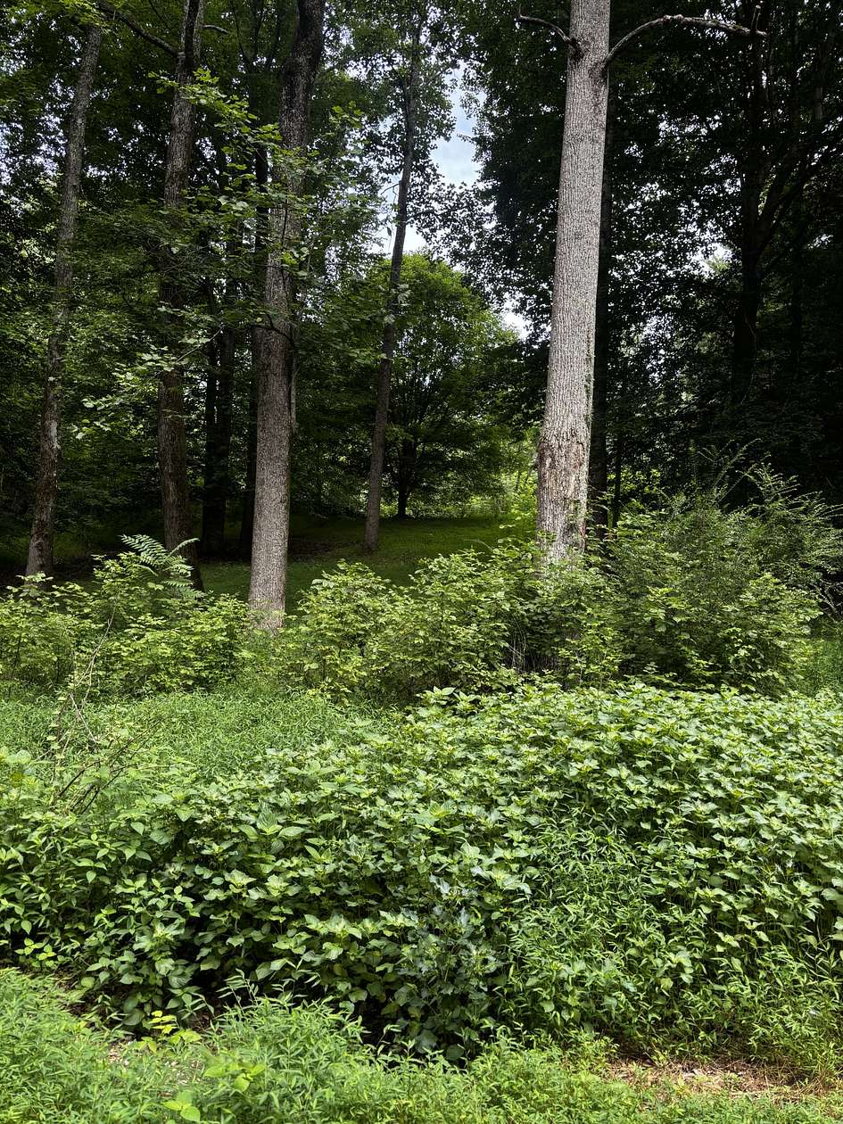 4 Acres of Land with Home for Sale in Indian Mound, Tennessee