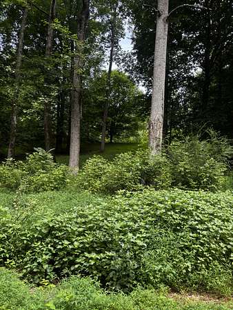 4 Acres of Land with Home for Sale in Indian Mound, Tennessee