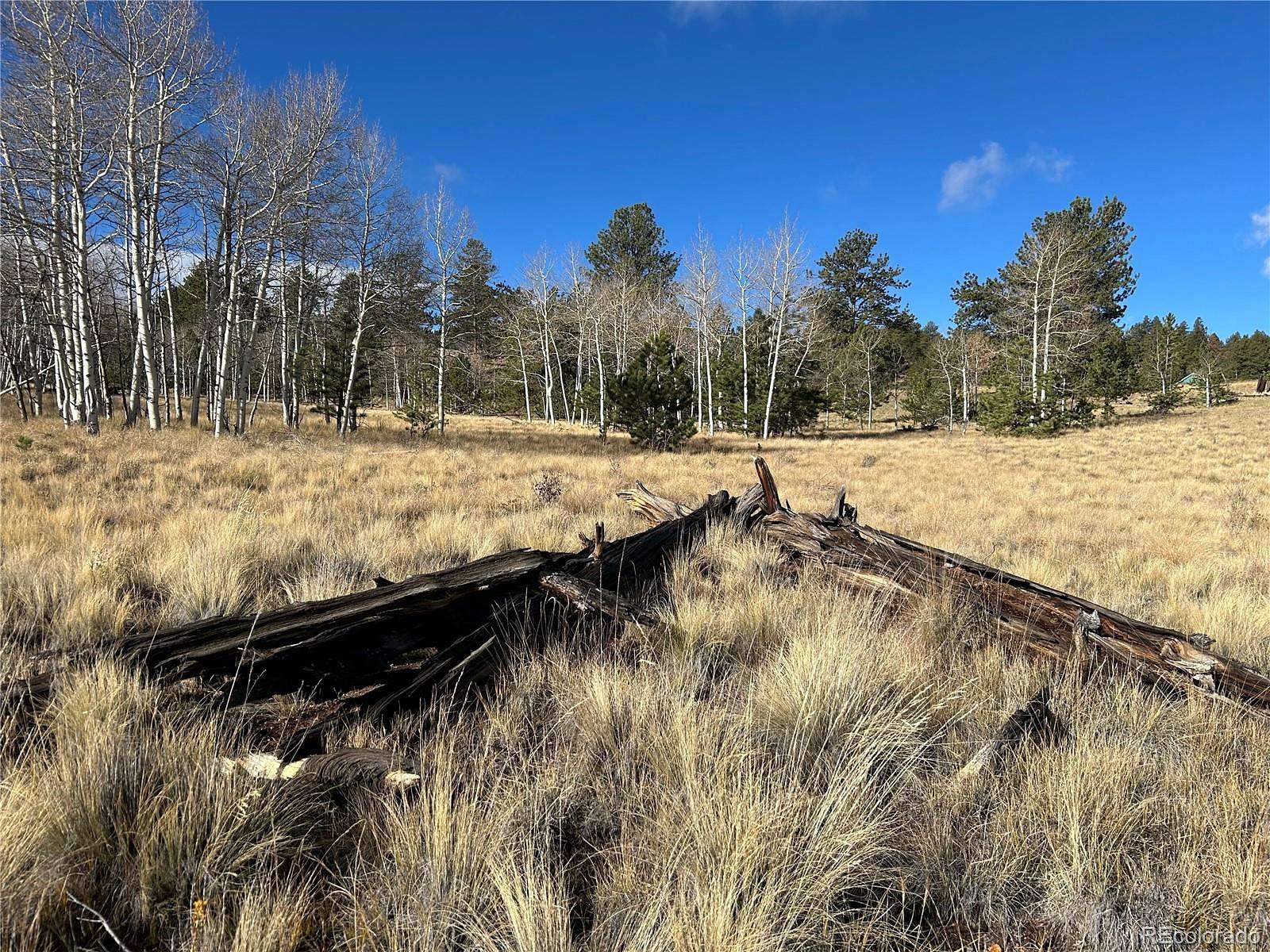 5 Acres of Residential Land for Sale in Hartsel, Colorado