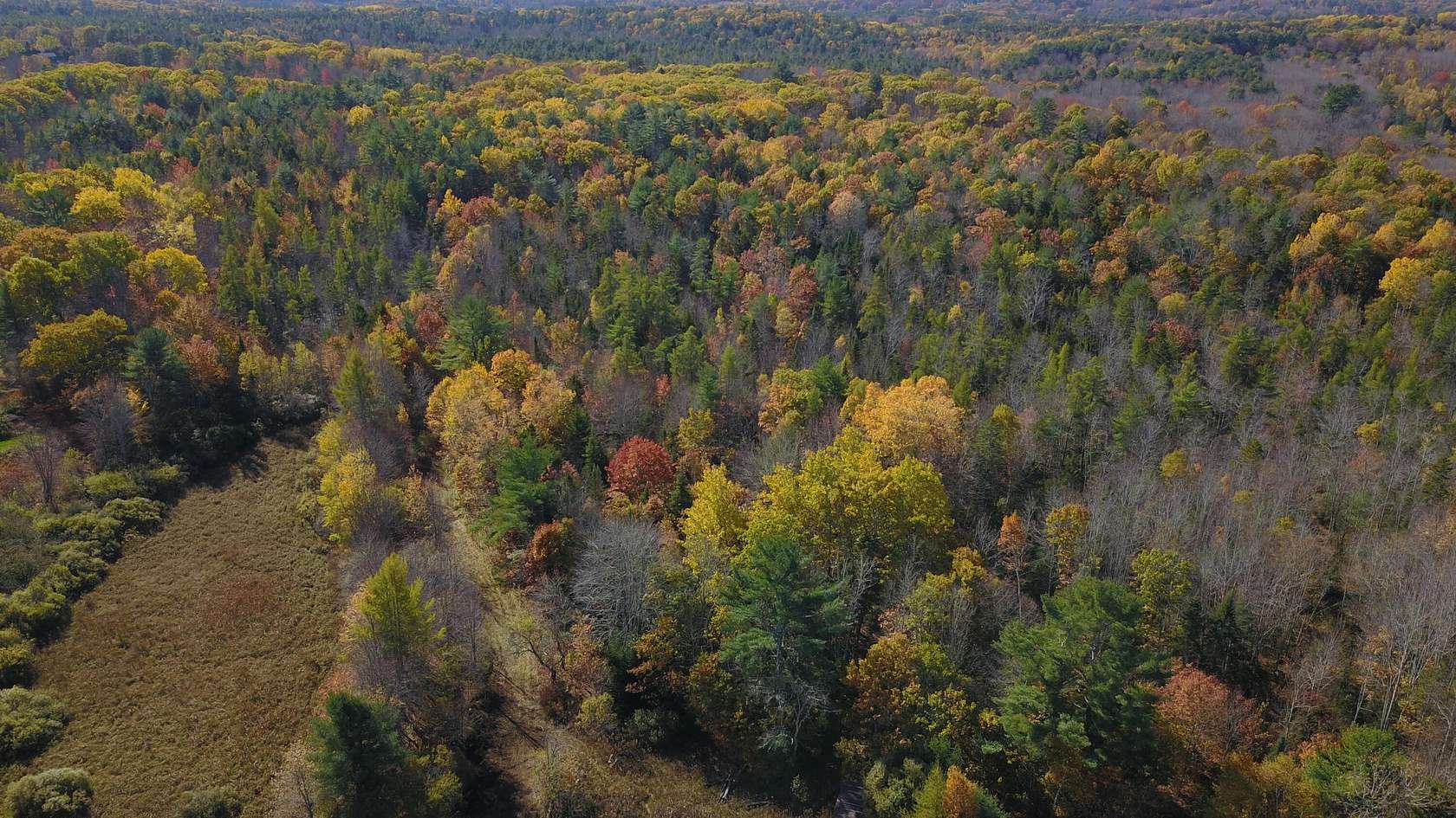 27 Acres of Recreational & Residential Land for Sale in Waldoboro, Maine