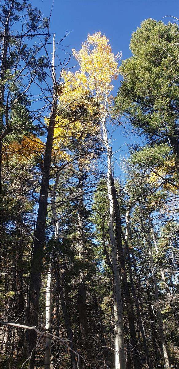 5.5 Acres of Residential Land for Sale in Fort Garland, Colorado
