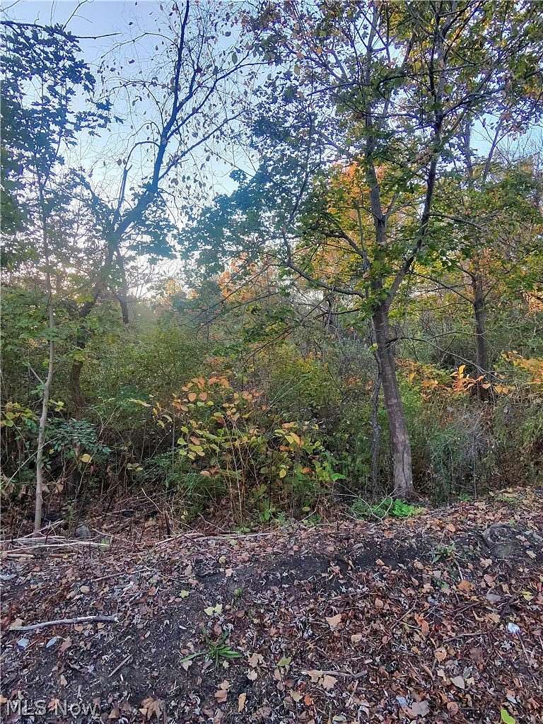 0.4 Acres of Residential Land for Sale in Akron, Ohio