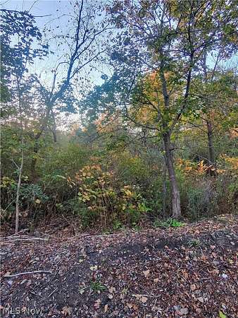 0.4 Acres of Residential Land for Sale in Akron, Ohio
