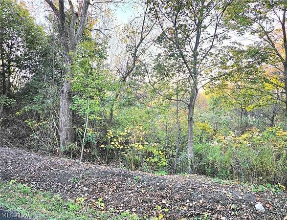 0.4 Acres of Residential Land for Sale in Akron, Ohio