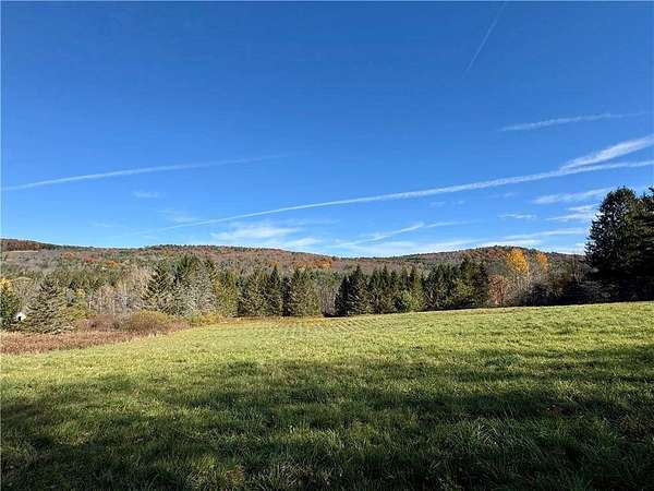 4.79 Acres of Residential Land for Sale in Oneonta, New York