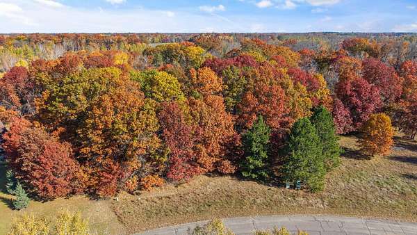 19.3 Acres of Recreational & Residential Land for Sale in Isanti, Minnesota