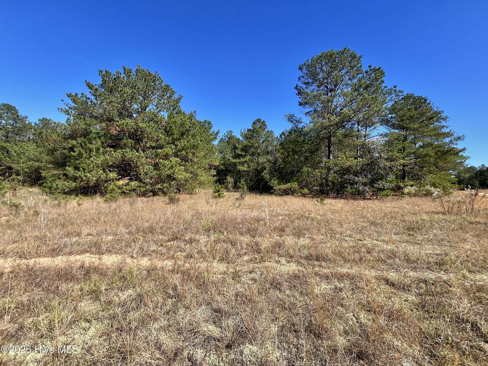 3.79 Acres of Residential Land for Sale in Avera, Georgia