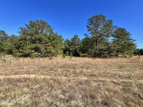 3.79 Acres of Residential Land for Sale in Avera, Georgia