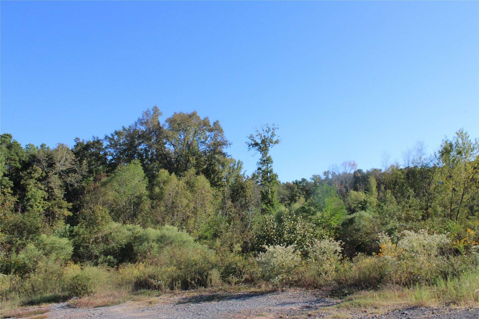 1.2 Acres of Residential Land for Sale in Mansfield, Louisiana