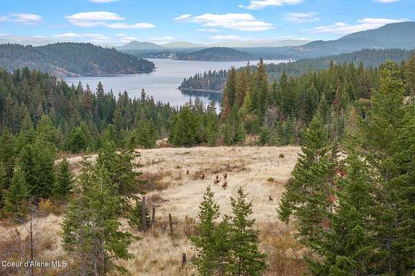 128 Acres of Recreational & Residential Land for Sale in Harrison, Idaho