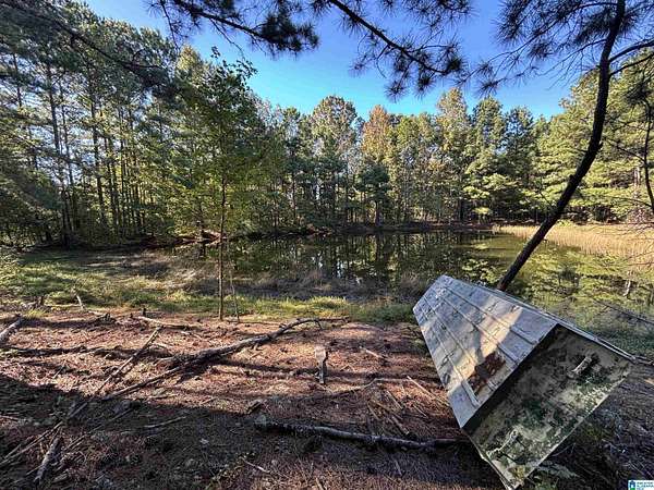 56 Acres of Land with Home for Sale in Altoona, Alabama