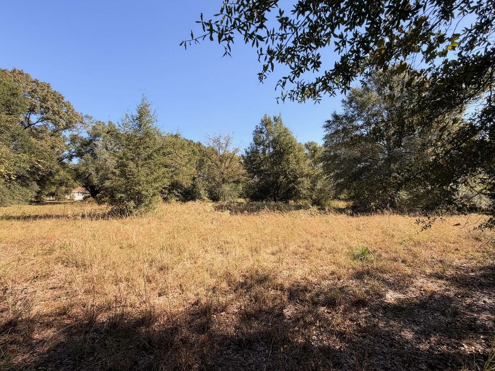 10 Acres of Recreational & Residential Land for Sale in Holt, Florida