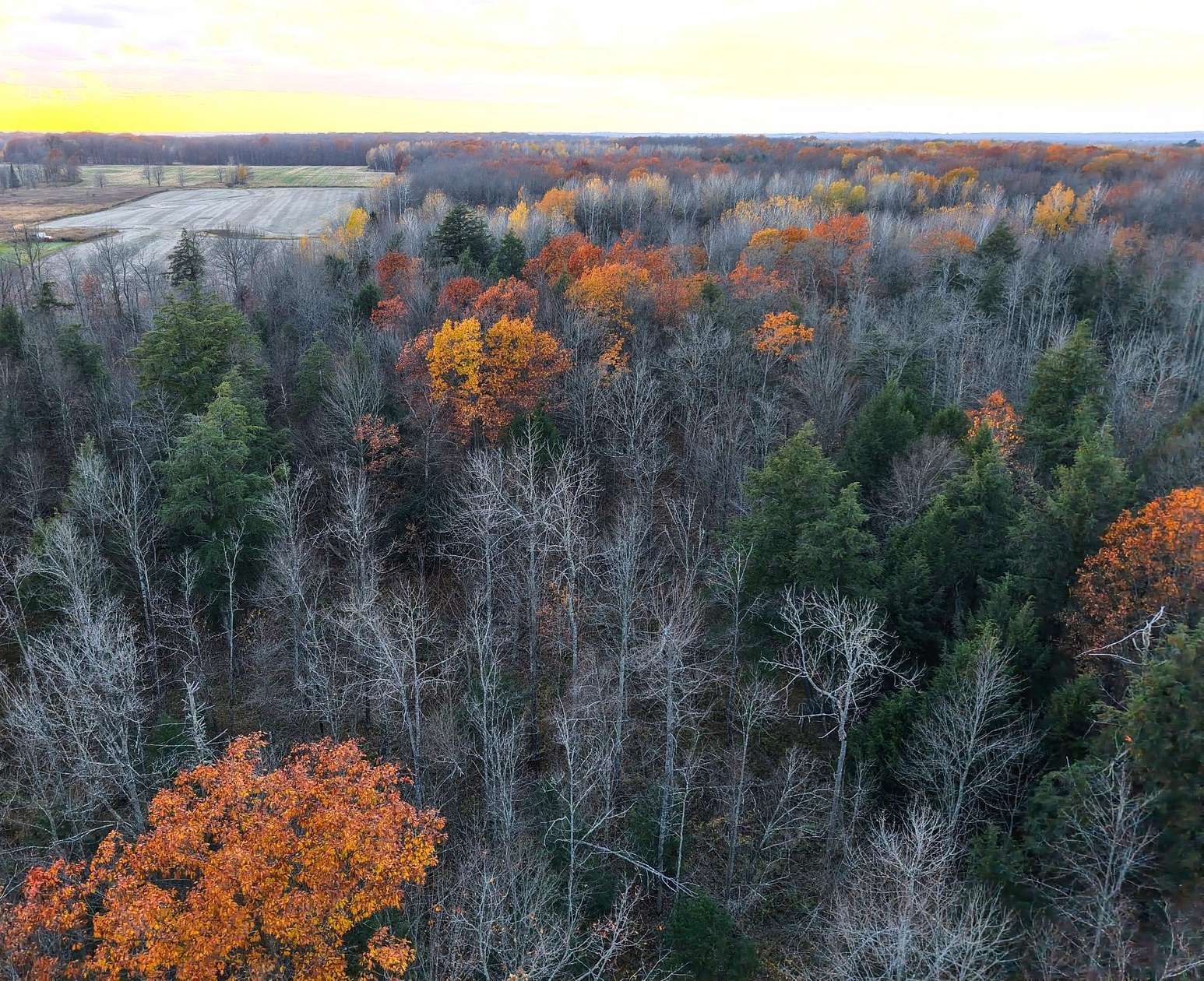 39.8 Acres of Land for Sale in Medford, Wisconsin