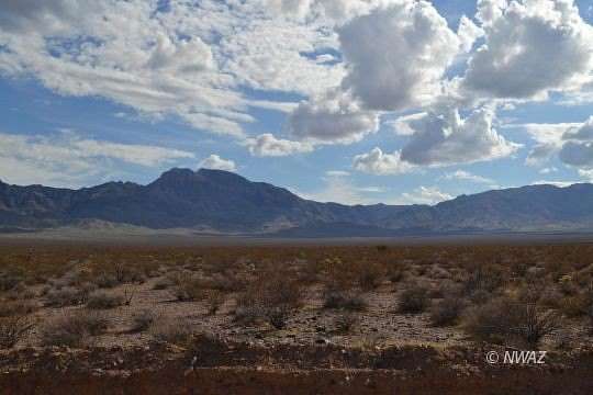 1 Acre of Residential Land for Sale in Littlefield, Arizona