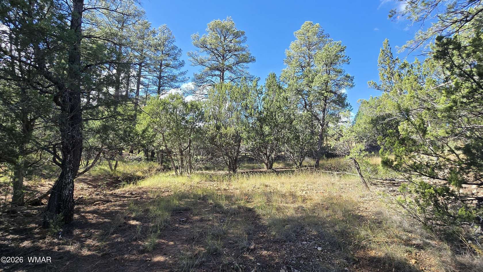 1 Acre of Residential Land for Sale in Heber, Arizona