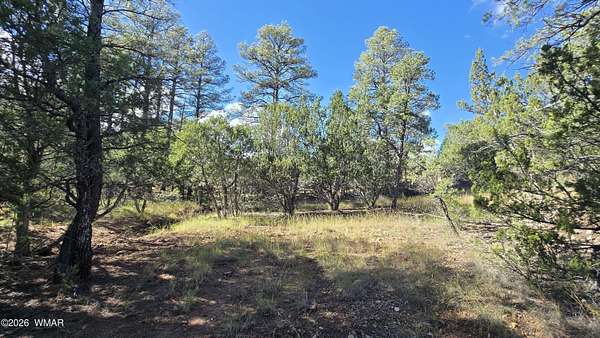 1 Acre of Residential Land for Sale in Heber, Arizona