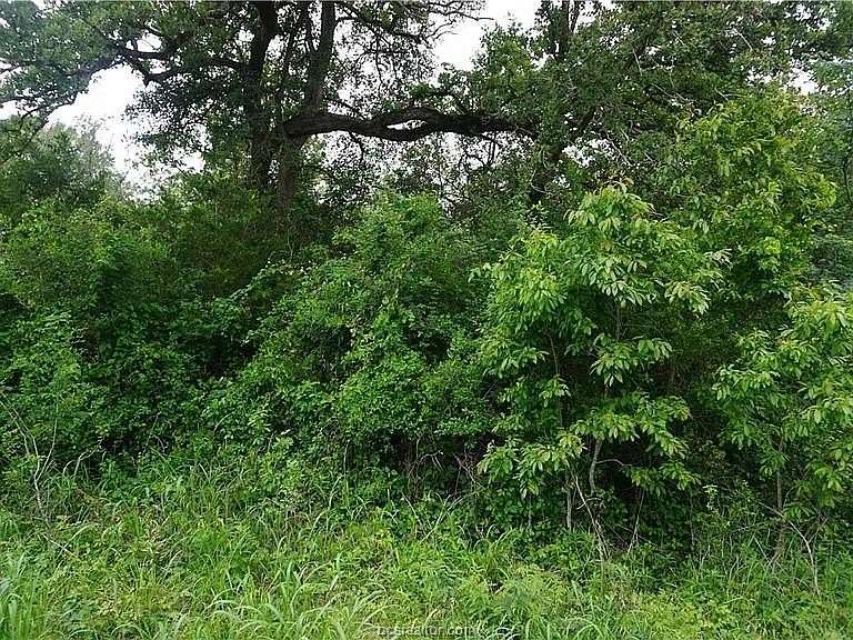 5.74 Acres of Residential Land for Sale in Somerville, Texas