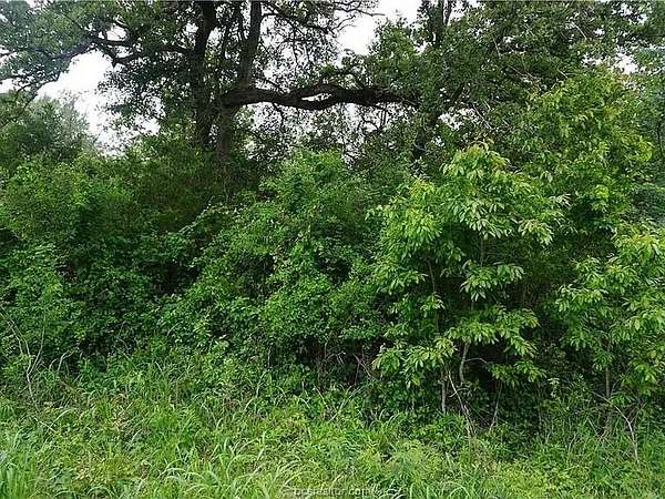 5.74 Acres of Residential Land for Sale in Somerville, Texas