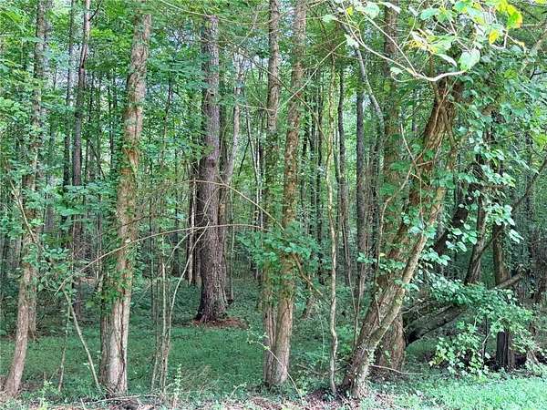 3 Acres of Residential Land for Sale in Jasper, Georgia