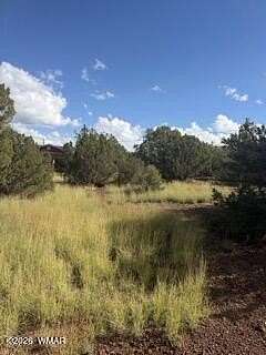 0.13 Acres of Residential Land for Sale in Show Low, Arizona