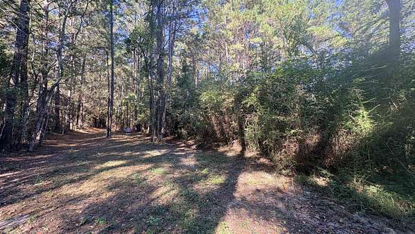 3.5 Acres of Residential Land for Sale in Spurger, Texas