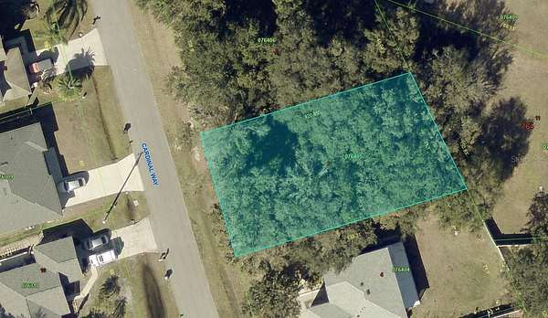 0.2 Acres of Residential Land for Sale in Poinciana, Florida