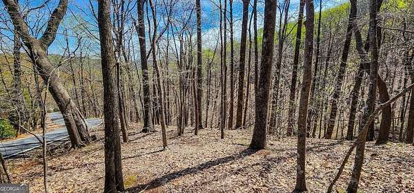 2.15 Acres of Residential Land for Sale in Big Canoe, Georgia