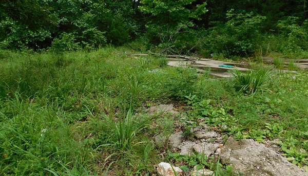 35 Acres of Land for Sale in Collins, Missouri