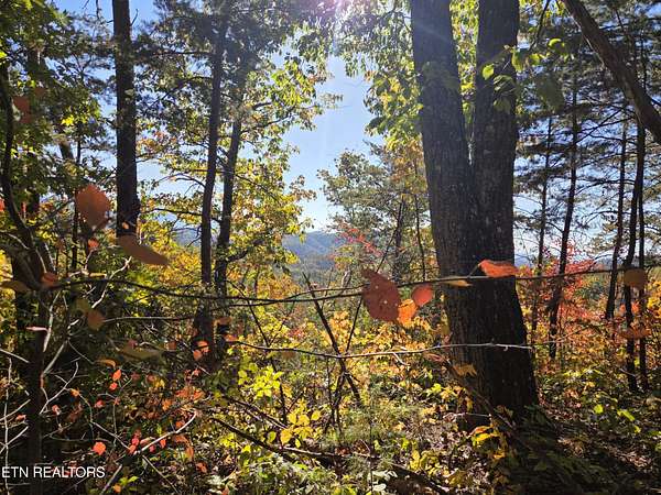 1.18 Acres of Residential Land for Sale in Sevierville, Tennessee
