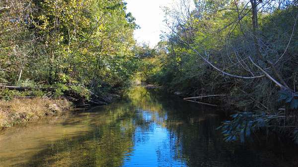 2 Acres of Residential Land for Sale in Hohenwald, Tennessee