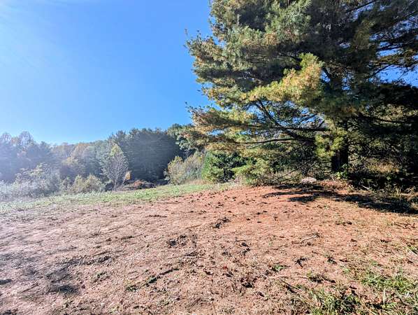 18 Acres of Land for Sale in Indian Valley, Virginia