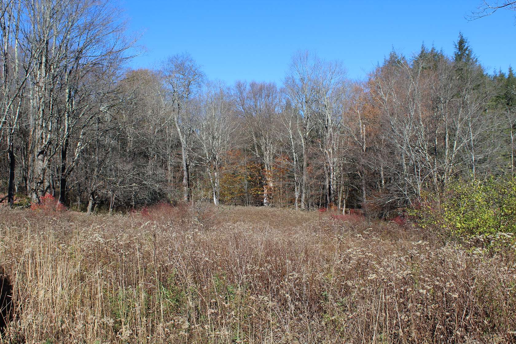 184 Acres of Land for Sale in Roscoe, New York