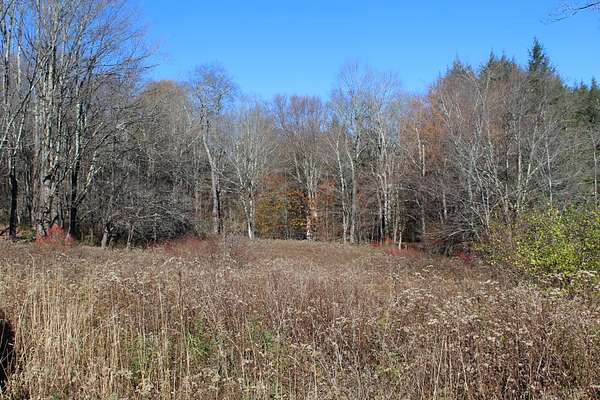 184 Acres of Land for Sale in Roscoe, New York