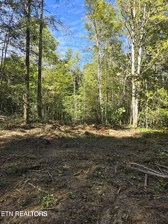 35 Acres of Recreational Land for Sale in Mooresburg, Tennessee