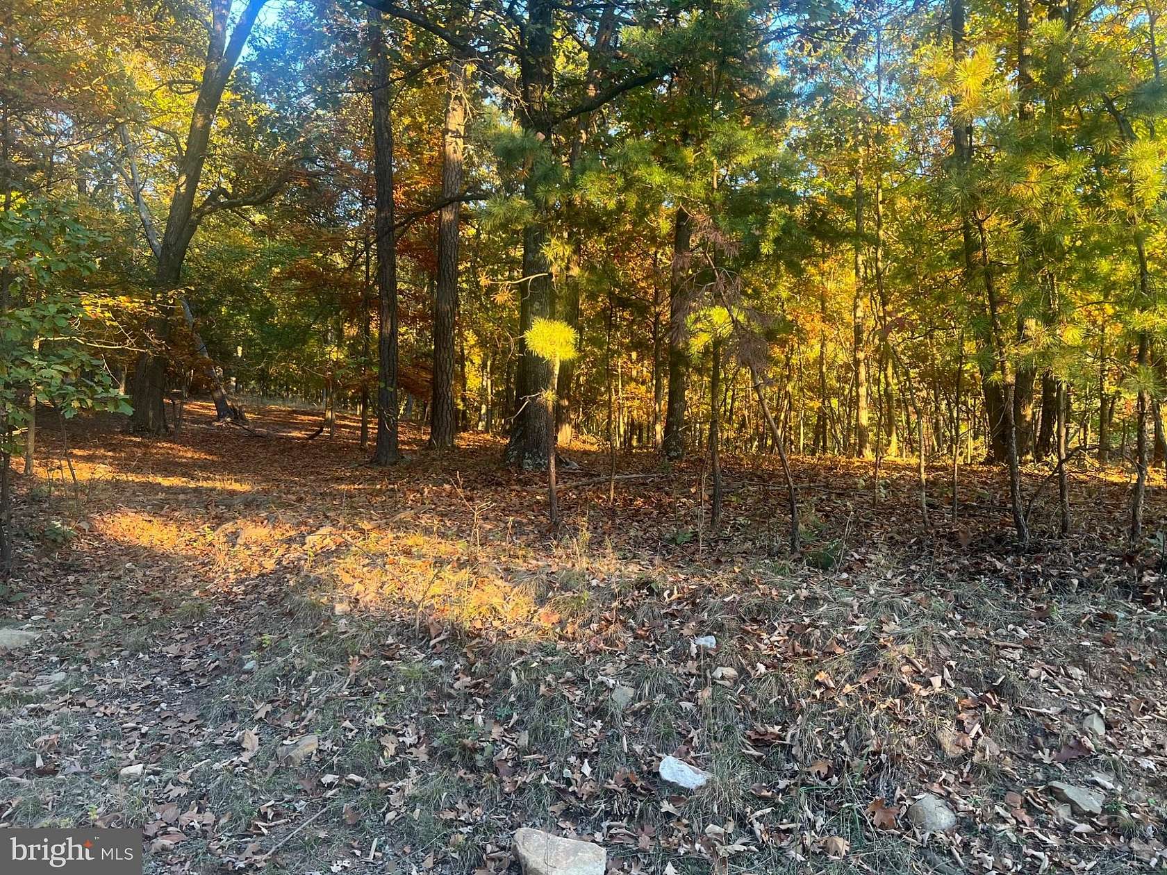 5.74 Acres of Residential Land for Sale in Great Cacapon, West Virginia