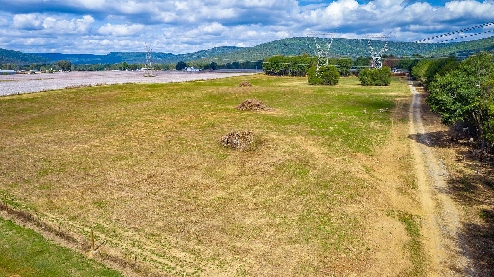 31 Acres of Land with Home for Sale in Fackler, Alabama