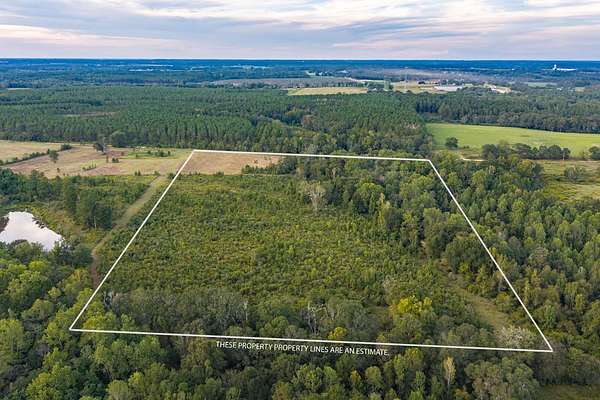 21.3 Acres of Recreational & Residential Land for Sale in Coffee Springs, Alabama