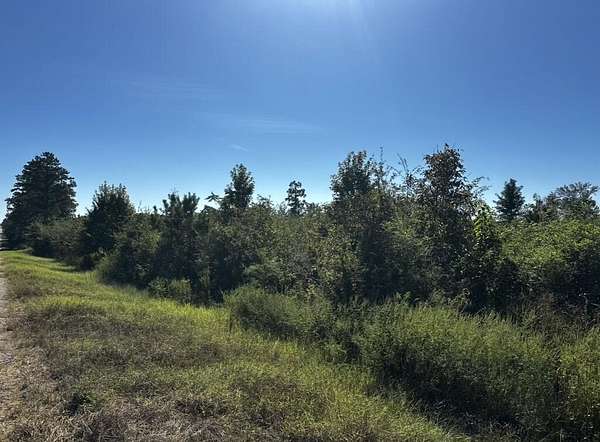 10 Acres of Residential Land for Sale in Pansey, Alabama