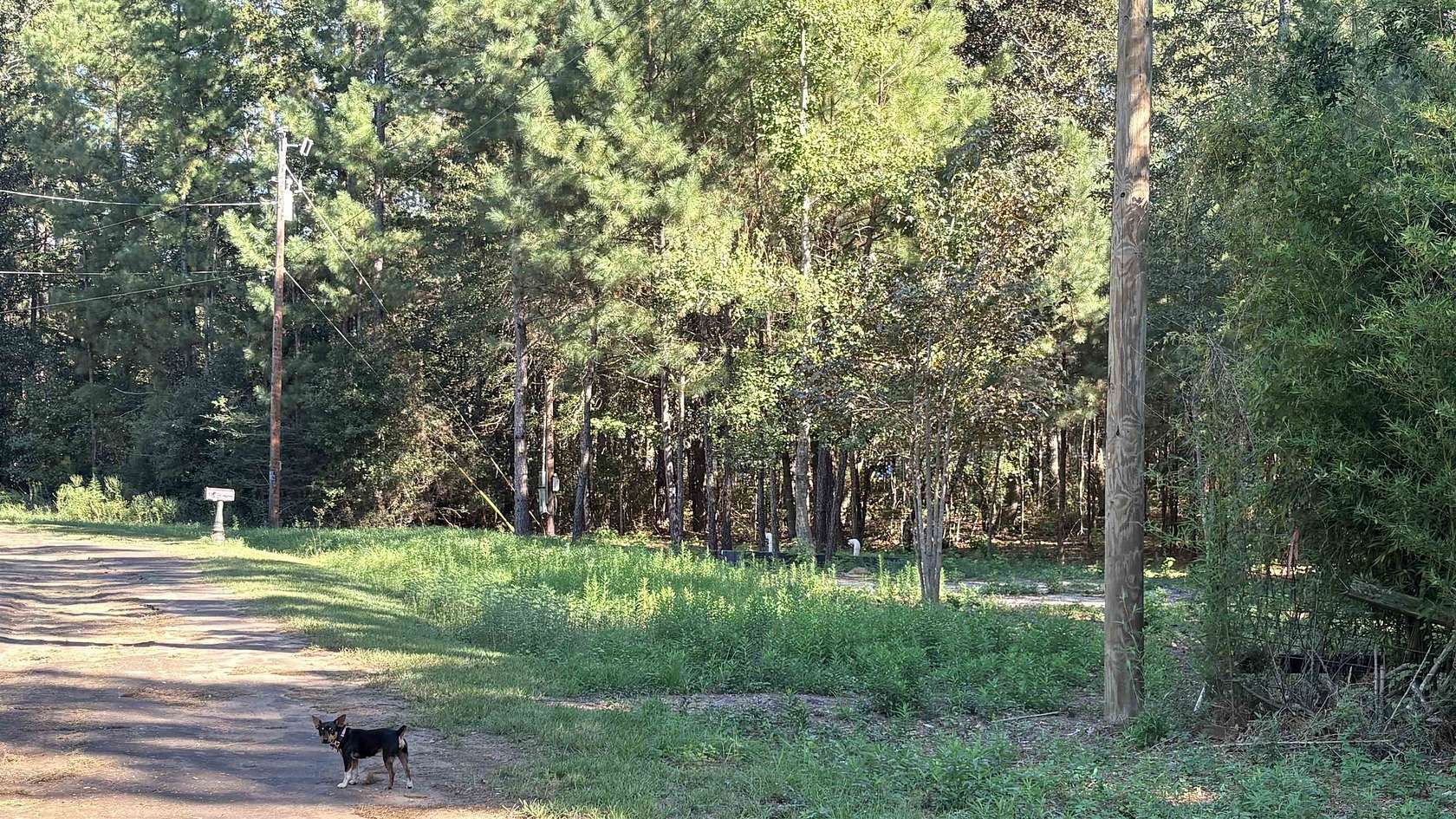 0.41 Acres of Residential Land for Sale in Woodville, Texas