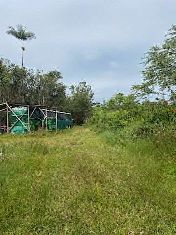3 Acres of Residential Land for Sale in Kurtistown, Hawaii