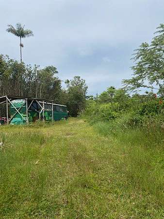 3 Acres of Residential Land for Sale in Kurtistown, Hawaii